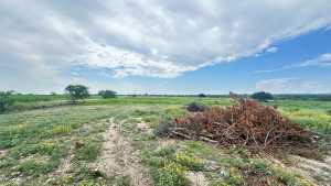 8741 Rust Rd (9)