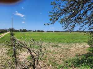 9286 County Road 2335 (47)