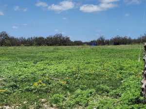 9286 County Road 2335 (48)