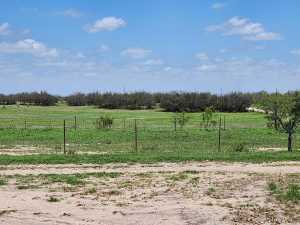9286 County Road 2335 (49)