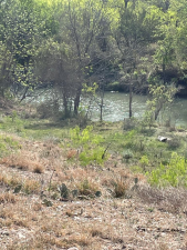 12713 Dove Creek Lane West (40)