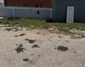 515 N Oakes St (8)