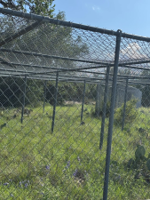 7365 County Rd 209 (33)