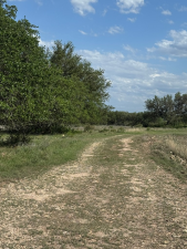 7365 County Rd 209 (36)
