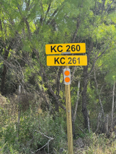 7365 County Rd 209 (38)