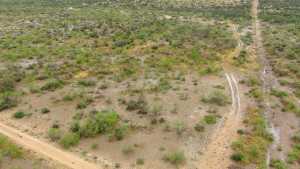 Cactus Rose Lane (2)