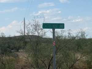 Cactus Rose Lane (26)