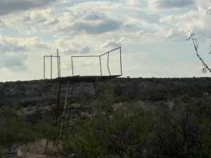 Cactus Rose Lane (29)