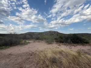 Cactus Rose Lane (30)