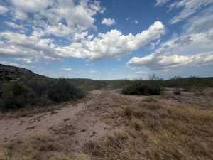 Cactus Rose Lane (32)