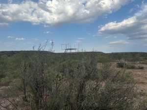 Cactus Rose Lane (33)