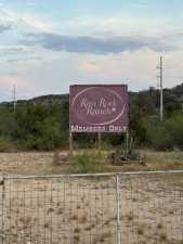 Cactus Rose Lane (43)