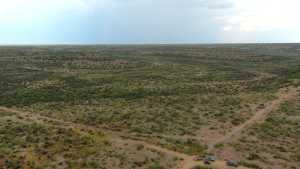Cactus Rose Lane (7)