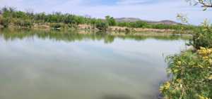 4200 County Rd 411 (3)