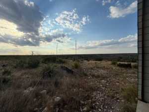 Cactus Rose Lane (13)