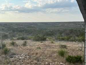 Cactus Rose Lane (16)