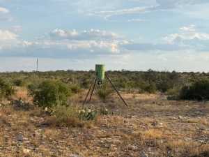 Cactus Rose Lane (25)