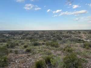 Cactus Rose Lane (26)