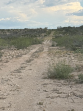 Cactus Rose Lane (3)