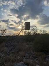 Cactus Rose Lane (34)