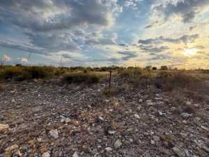 Cactus Rose Lane (36)
