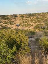 Cactus Rose Lane (37)