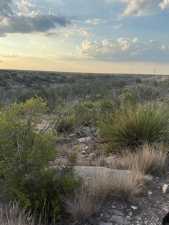 Cactus Rose Lane (39)