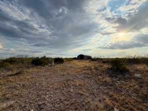 Cactus Rose Lane (4)