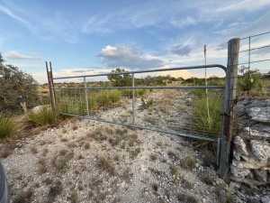 Cactus Rose Lane (45)