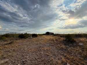 Cactus Rose Lane (5)