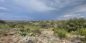 Cactus Rose Lane (53)