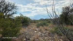Cactus Rose Lane (61)