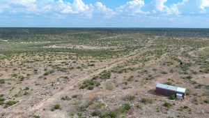 Cactus Rose Lane (73)