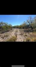 11893 Twin Lakes Lane (3)