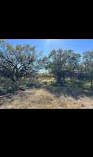 11893 Twin Lakes Lane (2)