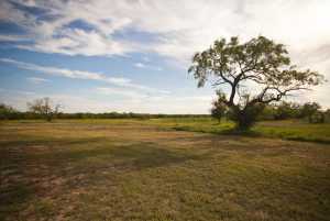 10581 Ballard Rd (56)