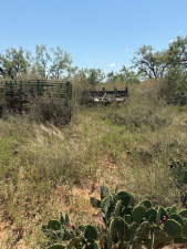 Juniper Lane (7)
