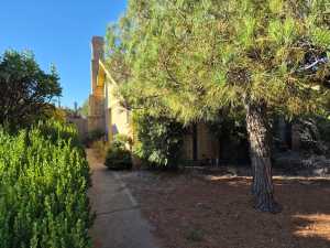 3913 Driftwood Dr (2)