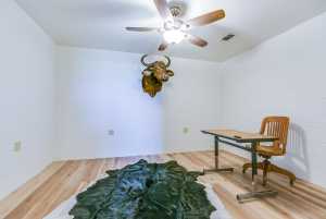 491 County Rd 351 (24)