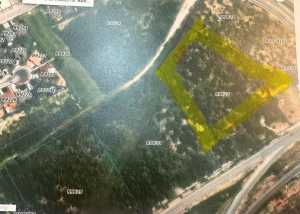 2949 N US HWY 87 N