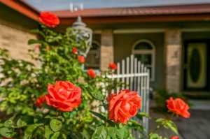 206 Crestwood Dr (31)