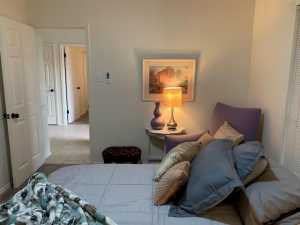 4217 Pinon Ridge Dr (5)