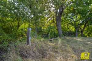 13526 S Dove Creek Rd (14)