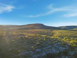 12938 Fielder Draw Rd (32)