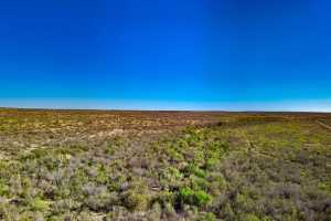 12938 Fielder Draw Rd (2)