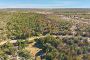 12938 Fielder Draw Rd (29)