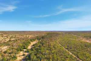 12938 Fielder Draw Rd (5)