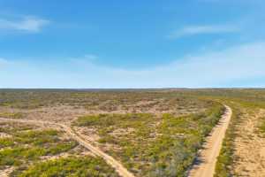 12938 Fielder Draw Rd (6)