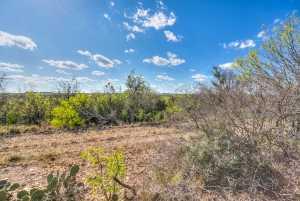 261 Edinburgh Rd (31)