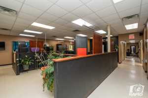 72 Hassell St (19)